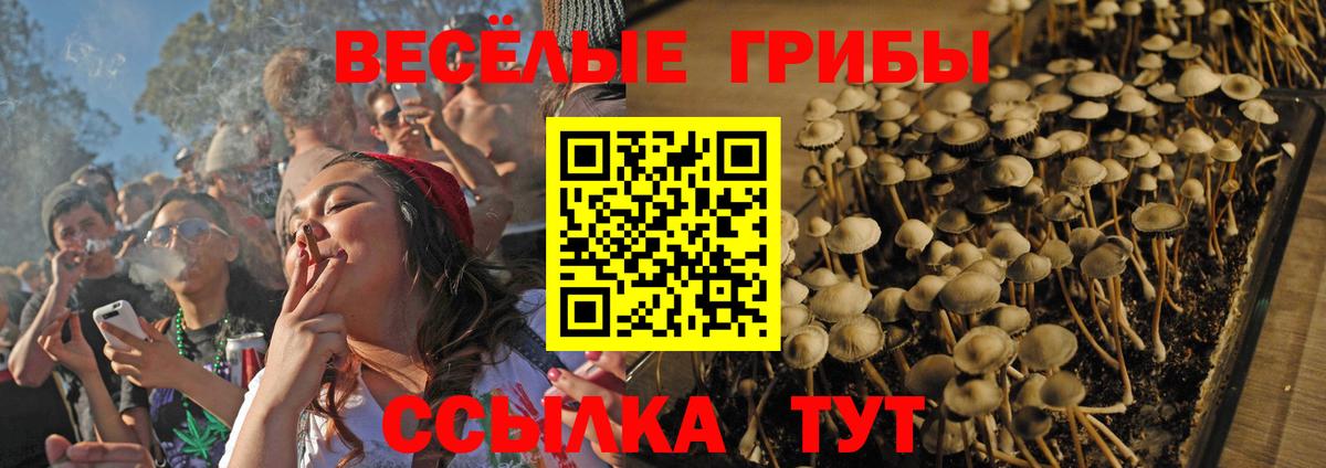Галлюциногенные грибы прущие грибы Усинск